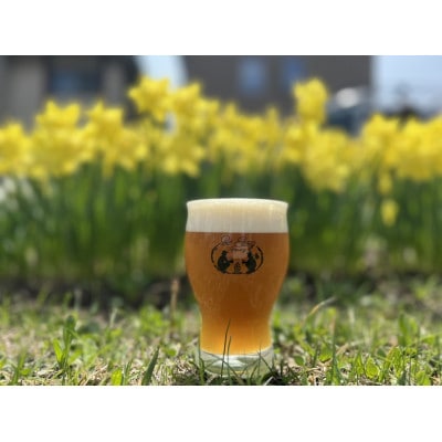 クラフトビール　定番4種類と限定2種類　計6本セット