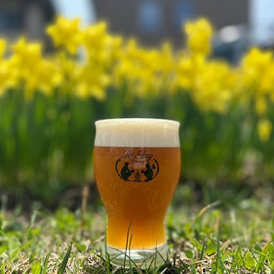 クラフトビール　定番4種類と限定2種類　計 350ml×6本セット