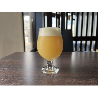 クラフトビール　限定6種類　6本セット