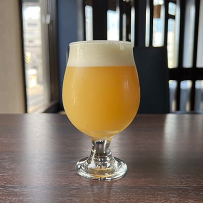 クラフトビール　限定6種類　6本セット