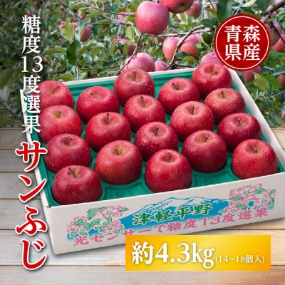 りんご/青森県産　糖度13度選果 サンふじ 約4.3kg