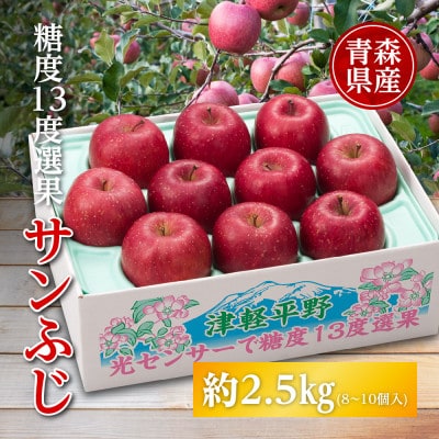 りんご/青森県産　糖度13度選果 サンふじ 約2.5kg