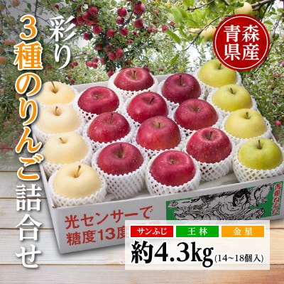 りんご/青森県産　彩り3種のりんご詰合せ 約4.3kg