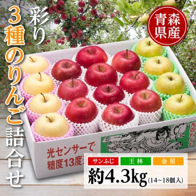 りんご/青森県産　彩り3種のりんご詰合せ 約4.3kg