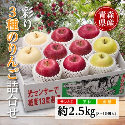りんご/青森県産　彩り3種のりんご詰合せ 約2.5kg
