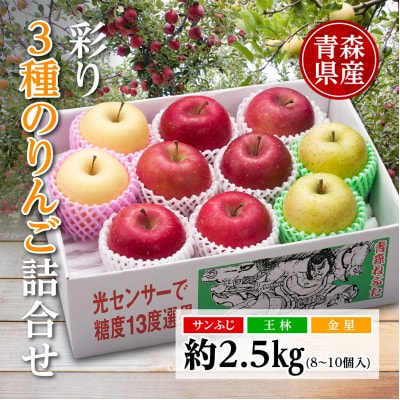りんご/青森県産　彩り3種のりんご詰合せ 約2.5kg