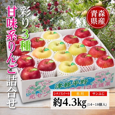 りんご/青森県産　彩り3種甘味系りんご詰合せ(高糖度)約4.3kg