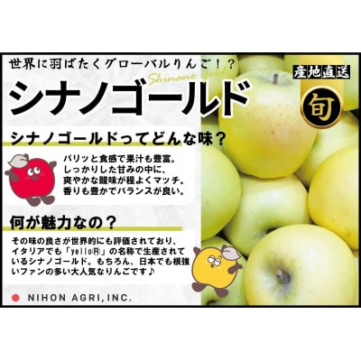 【2026年2月発送予定】平均糖度13度以上! シナノゴールド 約5kg 訳あり