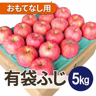 【2026年4～5月出荷予定】平均糖度13度以上! 有袋ふじ 約5kg おもてなし用