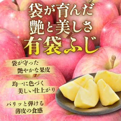 【先行受付】青森県産りんご 平均糖度13度以上! 有袋ふじ 約5kg おもてなし用