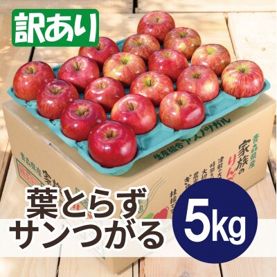 【26年9月から順次発送】平均糖度12度以上! 葉とらずサンつがる 約5kg 訳あり 青森 りんご