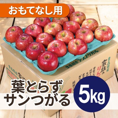 【26年9月から順次発送】平均糖度12度以上! 葉とらずサンつがる 約5kg おもてなし用 青森県産