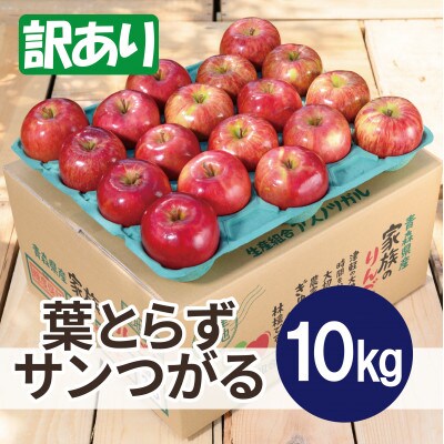【26年9月から順次発送】平均糖度12度以上! 葉とらずサンつがる 約10kg 訳あり 青森 りんご