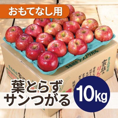 【26年9月から順次発送】平均糖度12度以上! 葉とらずサンつがる 約10kg おもてなし用 りんご