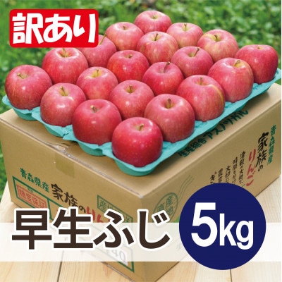 【26年10月から順次発送】平均糖度12度以上! 早生ふじ 約5kg 訳あり 青森県産 りんご
