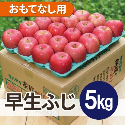 【26年10月から順次発送】平均糖度12度以上! 早生ふじ 約5kg おもてなし用 青森県産 りんご