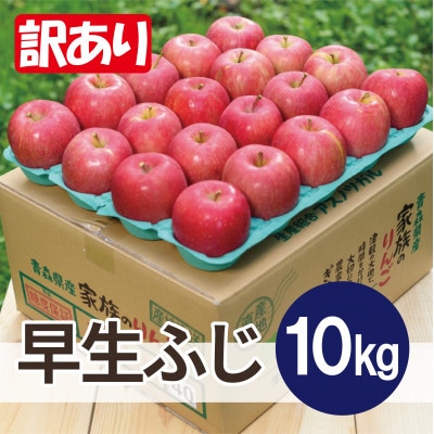 【26年10月から順次発送】平均糖度12度以上! 早生ふじ 約10kg 訳あり 青森県産 りんご