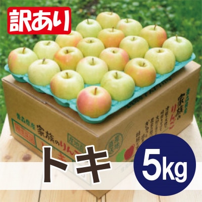 【26年10月から順次発送】平均糖度12度以上! トキ 約5kg 訳あり 青森県産 りんご