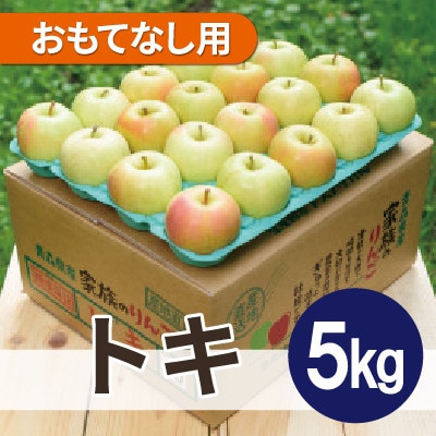 【26年10月から順次発送】平均糖度12度以上! トキ 約5kg おもてなし用 青森県産 りんご
