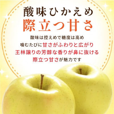 【26年10月から順次発送】青森県産りんご トキ 約5kg おもてなし用 平均糖度12度以上!