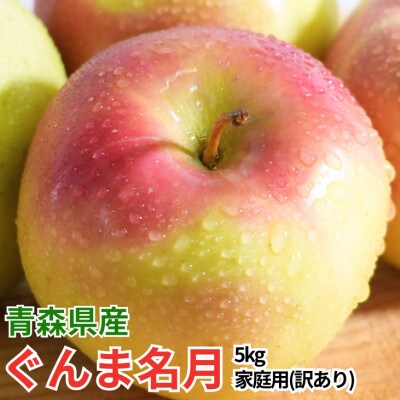 【26年11月から順次発送!】青森県産 りんご ぐんま名月 約5kg 訳あり家庭用