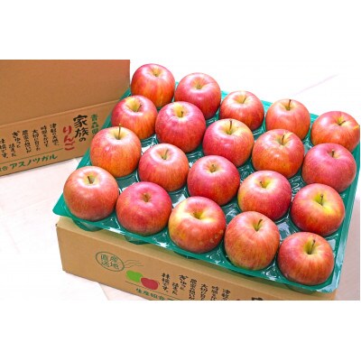 【26年11月から順次発送】青森県産 りんご シナノスイート 約5kg おもてなし用