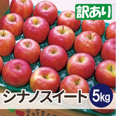 【26年11月から順次発送】青森県産 りんご シナノスイート 約5kg 訳あり 家庭用