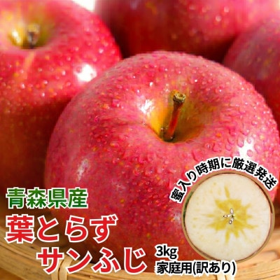 11-12月 蜜入り時期に厳選 発送! 青森県産 りんご 訳あり 葉とらずサンふじ 家庭用 約3kg