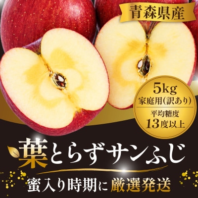 11-12月 蜜入り時期に厳選発送! 青森県産 りんご 訳あり 葉とらずサンふじ 家庭用 約5kg