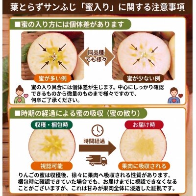 11-12月 蜜入り時期に厳選発送! 青森県産 りんご 訳あり 葉とらずサンふじ 家庭用 約10kg