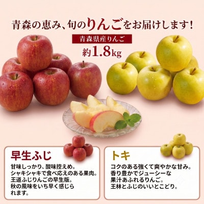 【発送月固定定期便】旬の青森フルーツ 桃・りんご 約1.8kg(5～12玉) 2回便全2回