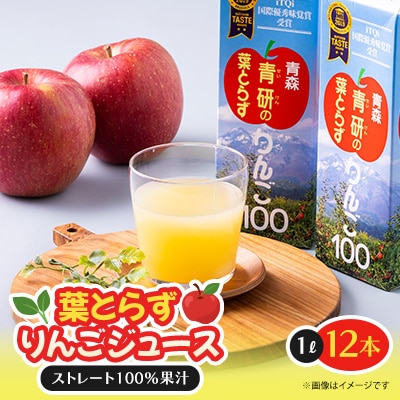 葉とらずりんごジュース　1000g×12本入り