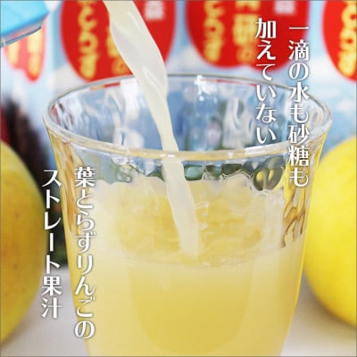 葉とらずりんごジュース　195g×30本入り