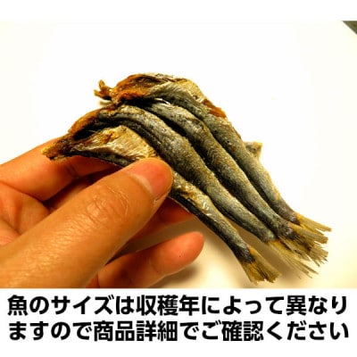 陸奥湾産 炭火焼き干し 500g