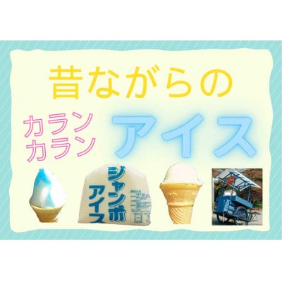 よくばりアイスセット【ケースアイス×5種類・コーン×50個・盛り付け用ヘラ付き】
