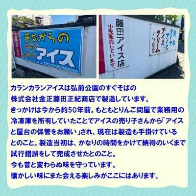 よくばりアイスセット【ケースアイス×5種類・コーン×50個・盛り付け用ヘラ付き】