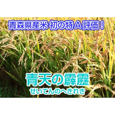 青森県産 青天の霹靂 精米済み 5kg