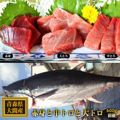 大間産本マグロ 3種セット(大トロ・中トロ・赤身) 合計600g前後