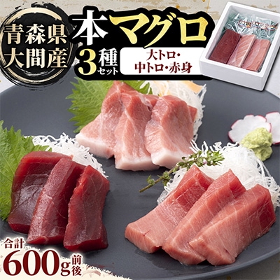 大間産本マグロ 3種セット(大トロ・中トロ・赤身) 合計600g前後