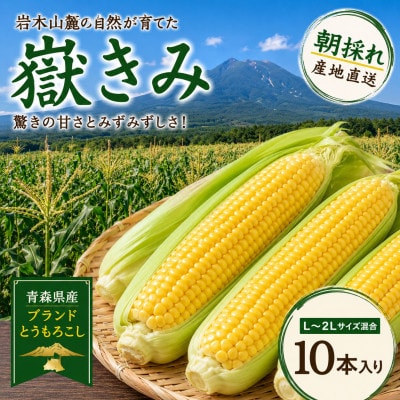 とうもろこし 朝採り 嶽きみ(だけきみ) 10本 L～2Lサイズ 冷蔵