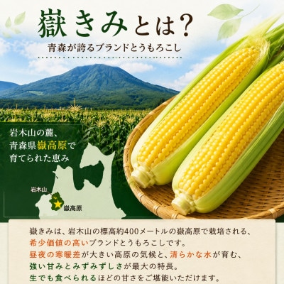とうもろこし 朝採り 嶽きみ(だけきみ) 10本 L～2Lサイズ 冷蔵