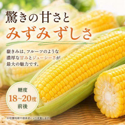とうもろこし 朝採り 嶽きみ(だけきみ) 10本 L～2Lサイズ 冷蔵