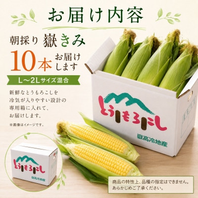 とうもろこし 朝採り 嶽きみ(だけきみ) 10本 L～2Lサイズ 冷蔵