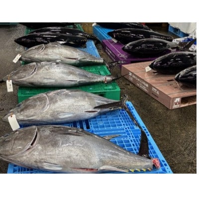 青森の幸　お刺身3種セット(本マグロ中トロ、ホタテ貝柱、ヒラメ昆布締め)