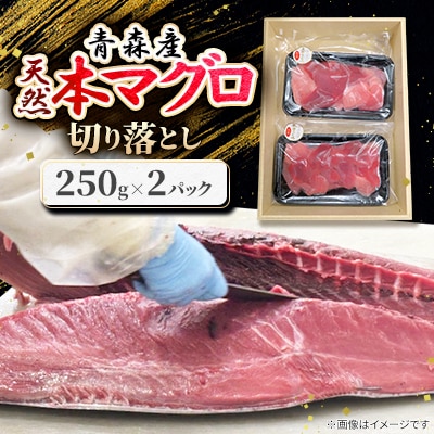 青森産　天然本マグロ　切り落とし