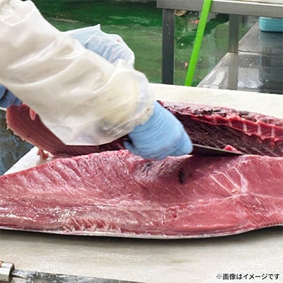 【市場直送!】青森産　天然本マグロ　切り落とし まぐろ(赤身・中トロ・大トロ入り)　250g×2P