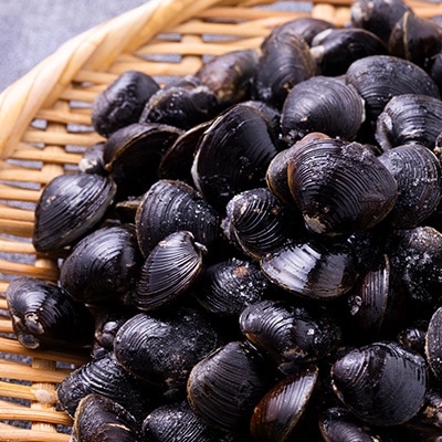 【市場直送!】青森十三湖産　冷凍砂抜き済み　中粒しじみ貝(8P)