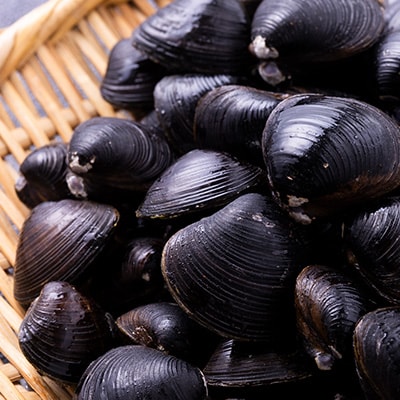 【市場直送!】青森十三湖産 冷凍砂抜き済み 大粒しじみ貝(250g×10P)