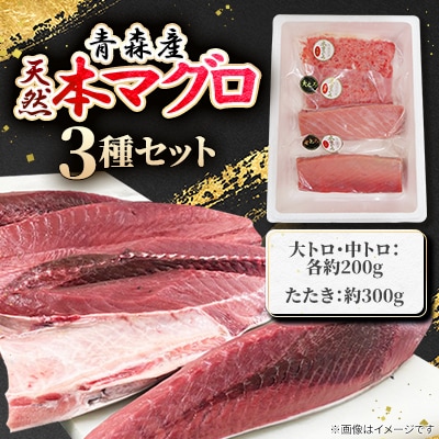 青森産天然本マグロ　大トロ・中トロ・たたき3種セット