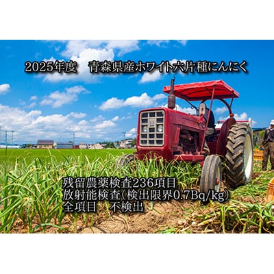 青森県産ホワイト六片種にんにく 1kg 中・小玉 (贈答用)